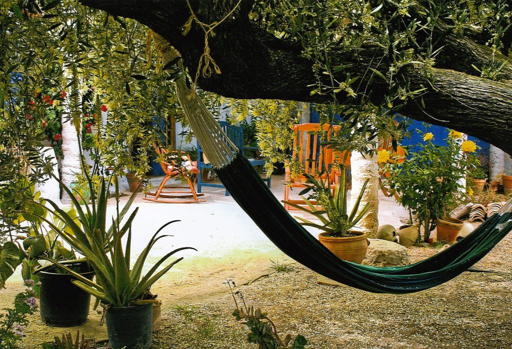 Casa Rural Aloe Vera Huércal-Overa Zewnętrze zdjęcie