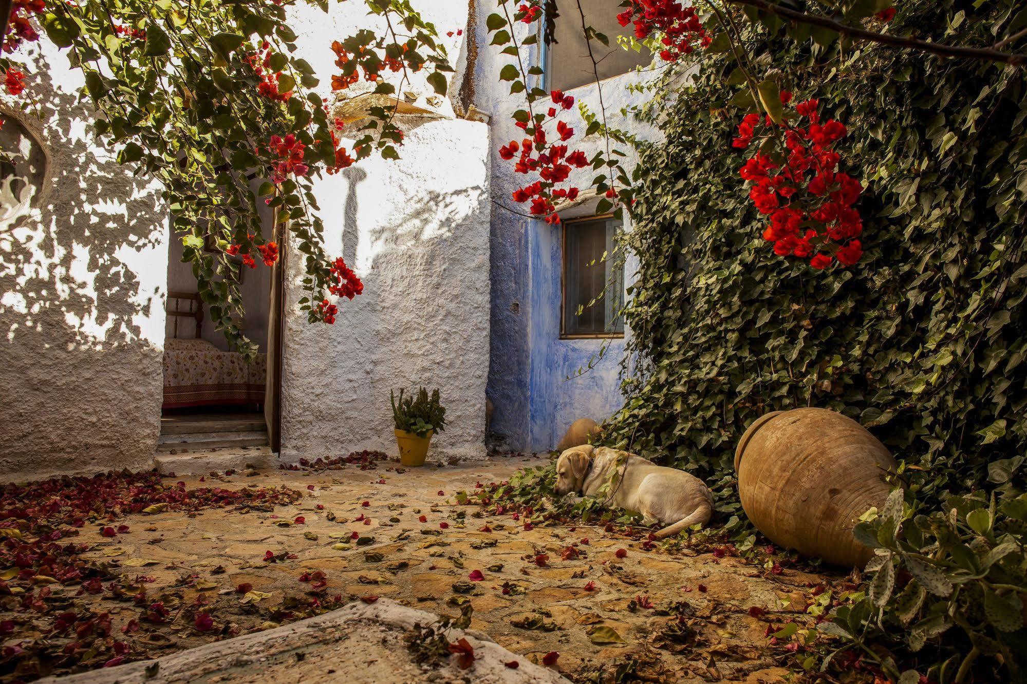 Casa Rural Aloe Vera Huércal-Overa Zewnętrze zdjęcie